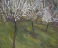 Plum Blossom
