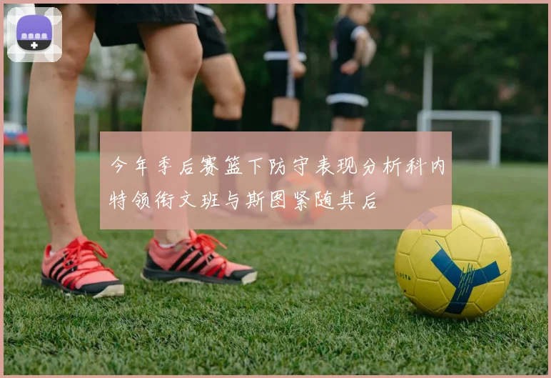 今年季后赛篮下防守表现分析科内特领衔文班与斯图紧随其后