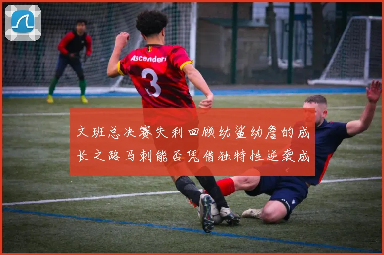 文班总决赛失利回顾幼鲨幼詹的成长之路马刺能否凭借独特性逆袭成功